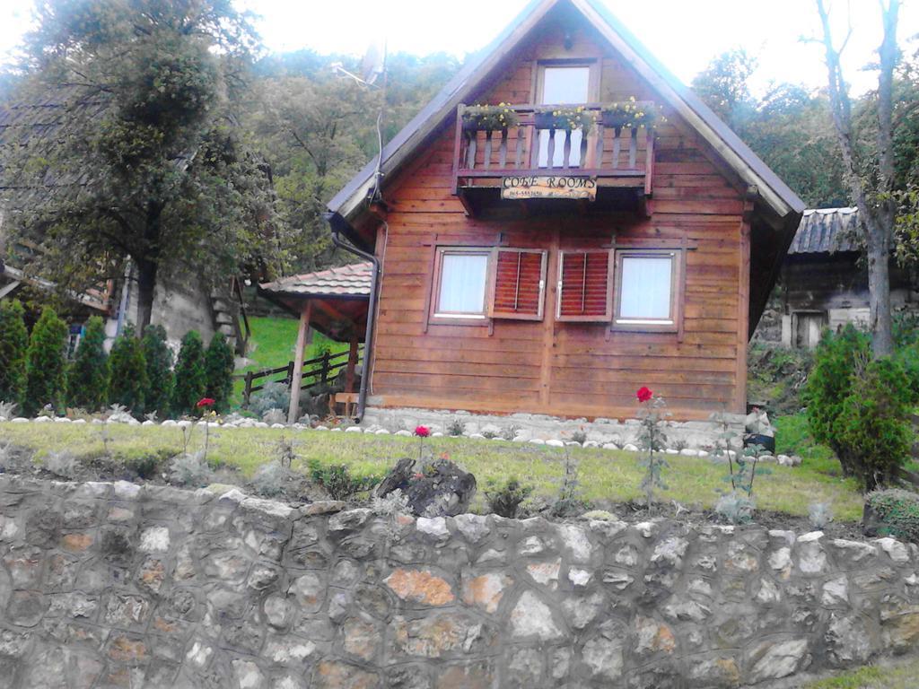 Guest House Villa Jovicic Mokra Gora Dış mekan fotoğraf